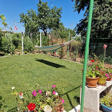 Casa Simona 호텔 Două Mai 외부 사진
