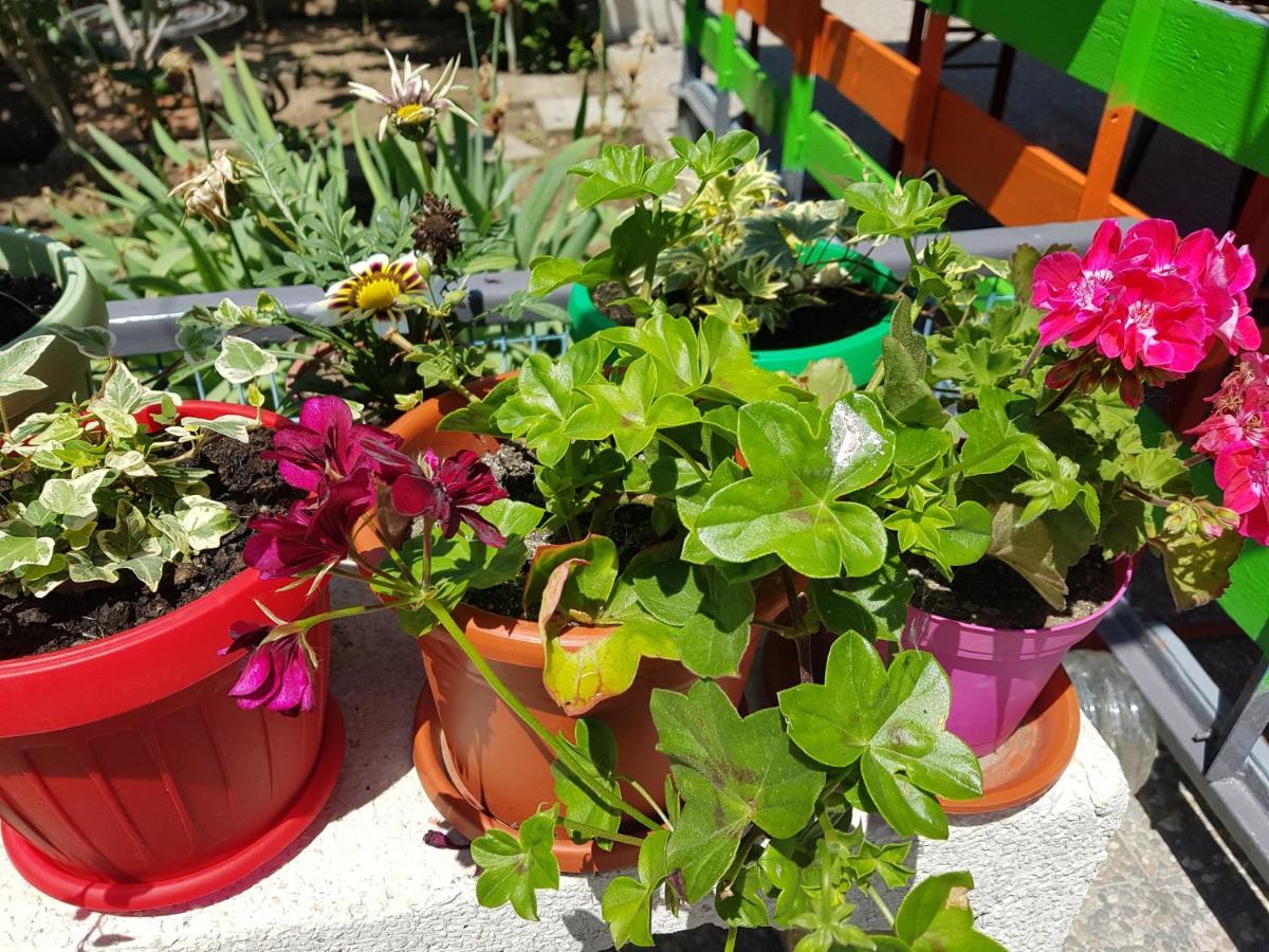 Casa Simona 호텔 Două Mai 외부 사진